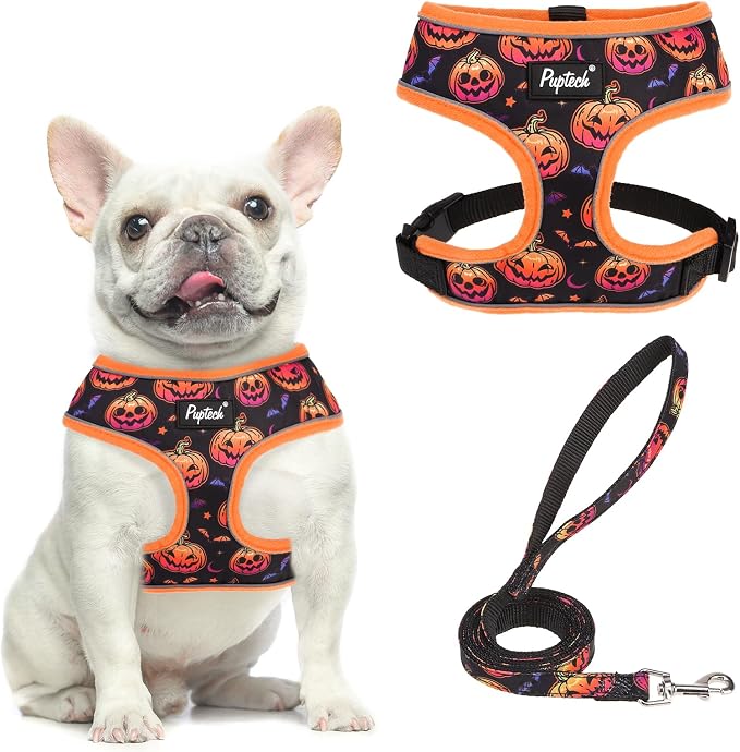 PUPTECK Small Dog Harness and Leash Set No Pull for XS XXS Sized Dogs Puppy | Escape Proof No Choke Pet Cat Adjustable Soft Padded Walking Vest by PUPTECK