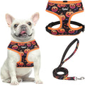 PUPTECK Small Dog Harness and Leash Set No Pull for XS XXS Sized Dogs Puppy | Escape Proof No Choke Pet Cat Adjustable Soft Padded Walking Vest by PUPTECK
