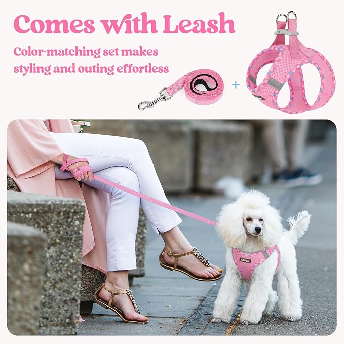 rabbitgoo Dog Harness Small Sized and Leash Set, Step-in Puppy Pet Vest | Light, Soft, Breathable Air Mesh, Easy on and Remove with Hook & Loop, Secure Reflective for Walking, Pink & Plaid Trim XS - Image 5
