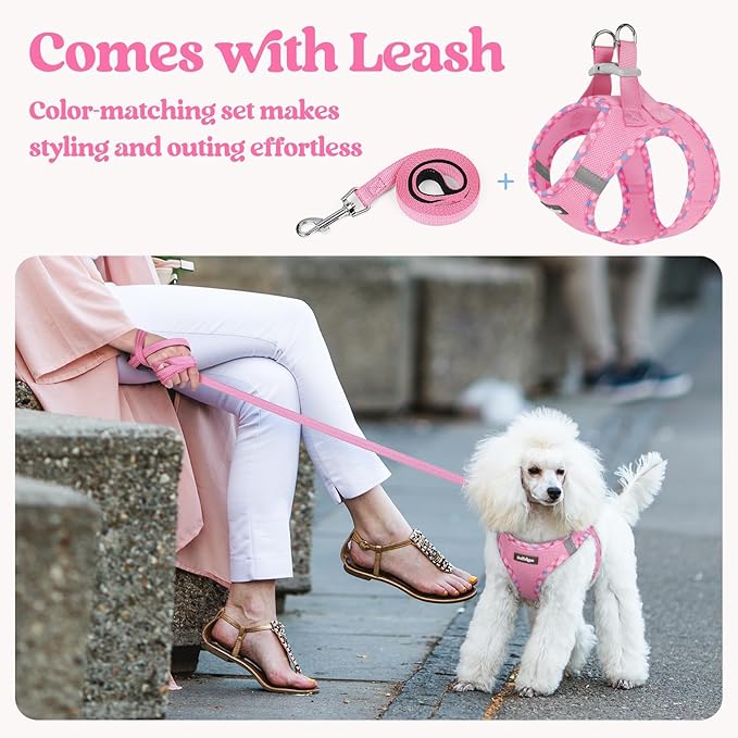 rabbitgoo Dog Harness Small Sized and Leash Set, Step-in Puppy Pet Vest | Light, Soft, Breathable Air Mesh, Easy on and Remove with Hook & Loop, Secure Reflective for Walking, Pink & Plaid Trim M - Image 5