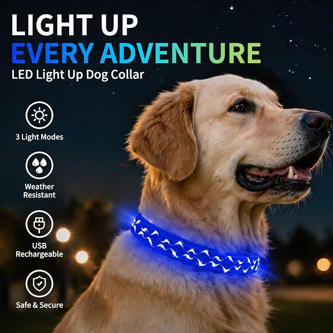 Rechargeable LED Dog Collar for Night Walking, Embroidered Rope Light | The LED light is visible from 360 degrees, anti-loss and enhancing outdoor walking safety(Medium Blue) - Image 8