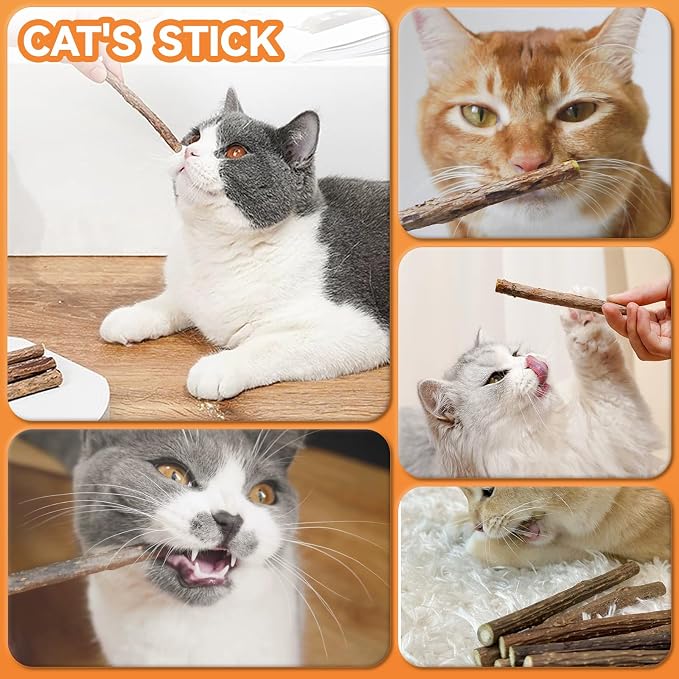 6Pcs Silvervine Sticks for Cats with Catnip Bag, Cat Chew Toys for Teeth Cleaning and Anxiety Relief, Natural Dental Care Kit for Indoor Cats & Kittens - Image 8