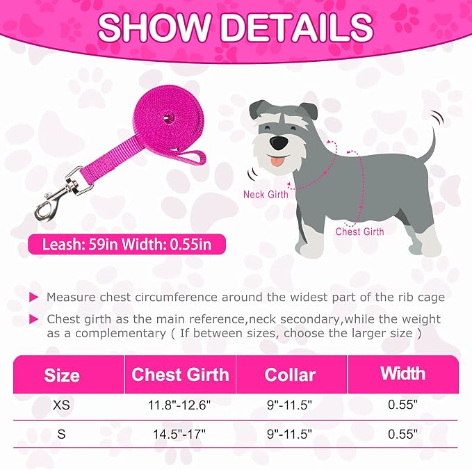 PUPTECK Dog Harness, Collar and Leash Set No Pull for Small Medium Sized | Soft Mesh Puppy Step-in Escape Proof Reflective No Choke Pet Cat Adjustable Walking Vest - Image 2