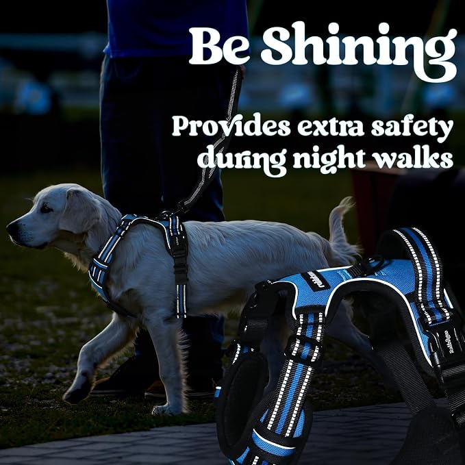 rabbitgoo Dog Harness Medium Sized, Updated Easy On & Off with 3 Buckles | No Pull No Choke, Walking with 2 Clips and Handle, Adjustable Soft Reflective, Sky Blue, Medium - Image 9