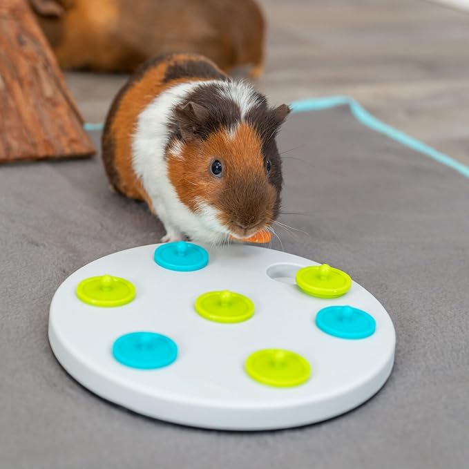Trixie Rabbit Snack Board, Interactive Toy, Small Animal Puzzle, Mental Stimulation, Rabbit, Ferret, Bunny, Chinchilla - Image 7