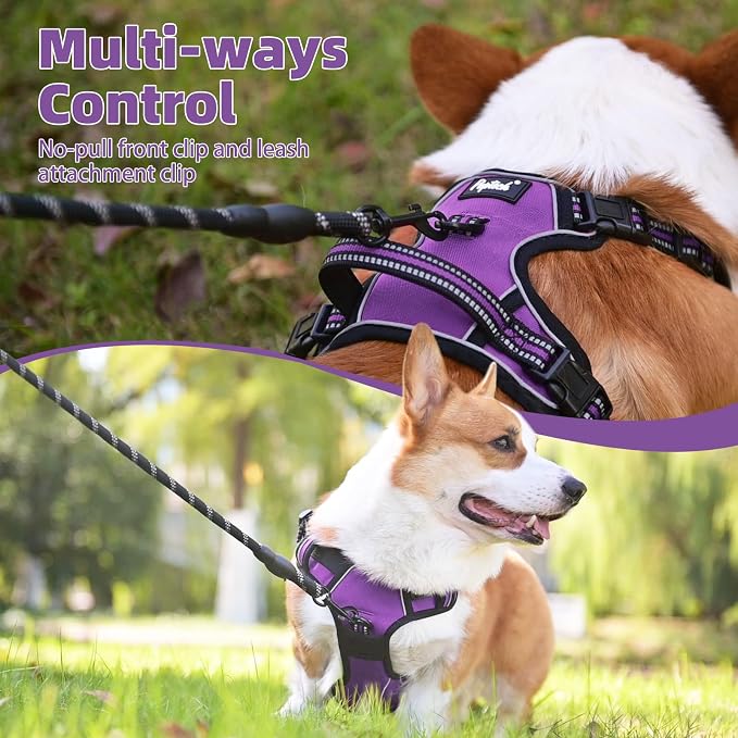PUPTECK No Pull Dog Harness Medium Sized, Adjustable Reflective Dog Harness with Handle Easy Control, Comfortable Soft Padded Pet Vest Harness for Medium Dogs, Solid Purple M - Image 3