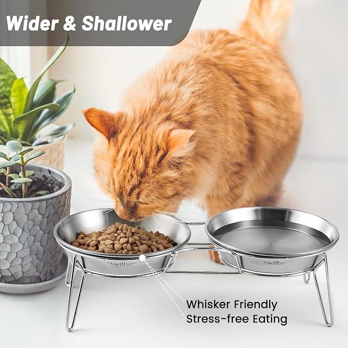 Elevated Cat Bowls, Wide Stainless Steel Cat Food Bowls with Metal Stand Whisker Stress-Free, Raised Food and Water Dish for Cats, Kitten, Puppies and Small Dogs - Image 4