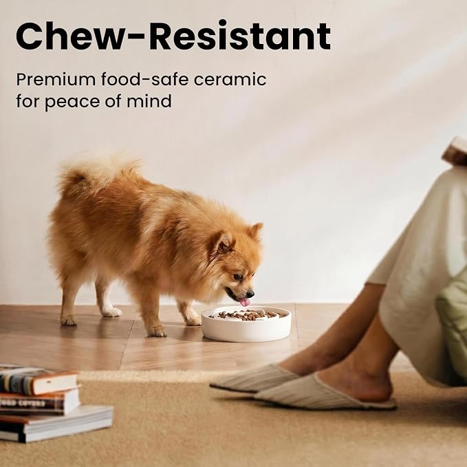 Ceramic Slow Feeder Dog Bowls 0.6 Cups for Small Fast Eaters,White | Reduces Bloating,6.02x1.38 Inch Dish For Daily Dog Meals, Maze Puzzle Slows Down Eating, Anti-Choking,9.0oz Water - Image 3