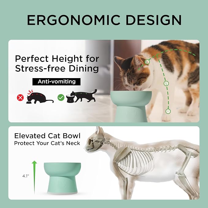 Necoichi BPA-Free Plastic Elevated Cat Water Bowls, 2-Pack (Ocean Mist) - Image 3