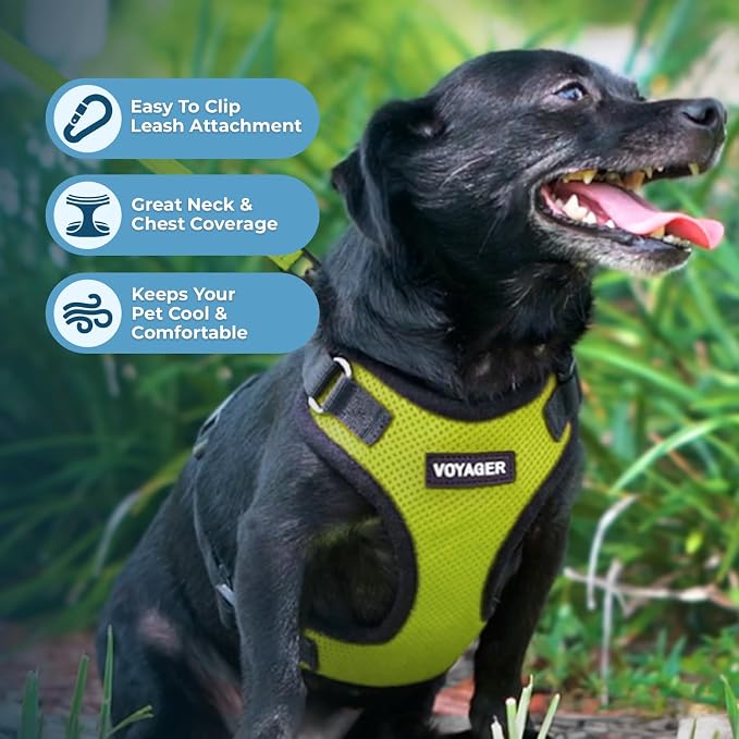 Voyager Step-in Lock Dog Harness - Lime Green/Black Trim, X-Small | 13 - 16" in Chest, Adjustable, Breathable Air Mesh, Lightweight for Daily Walks, Strong Clips, Heavy Duty D-Ring - Image 3