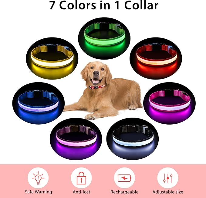 PcEoTllar Light up Dog Collar, Safe for Night Walking, Adjustable, Red, S | Colorful RGB Light, Waterproof, For Small Medium and Large Dogs, Durable Material, USB to Charge - Image 4