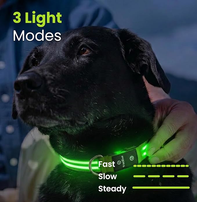 Tractive LED Light Up Dog Collar USB Rechargeable Waterproof (Green) - Image 4