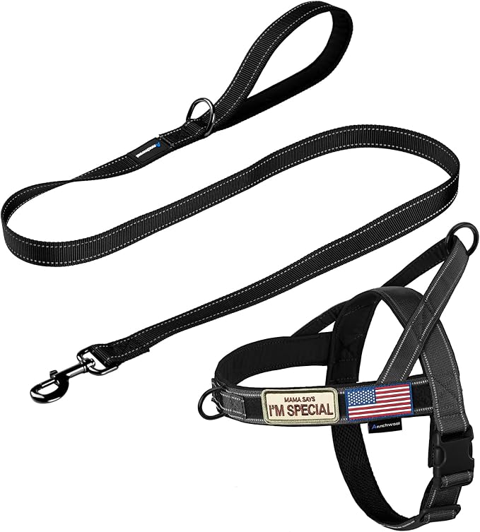 Annchwool No Pull Dog Harness with Padded Handle+5 Ft Leash,Reflective Strip Escape Proof and Quick Fit to Adjust Dog Harness,Easy for Training Walking for Small & Medium and Large Dogs(Black-Set,M) by Annchwool