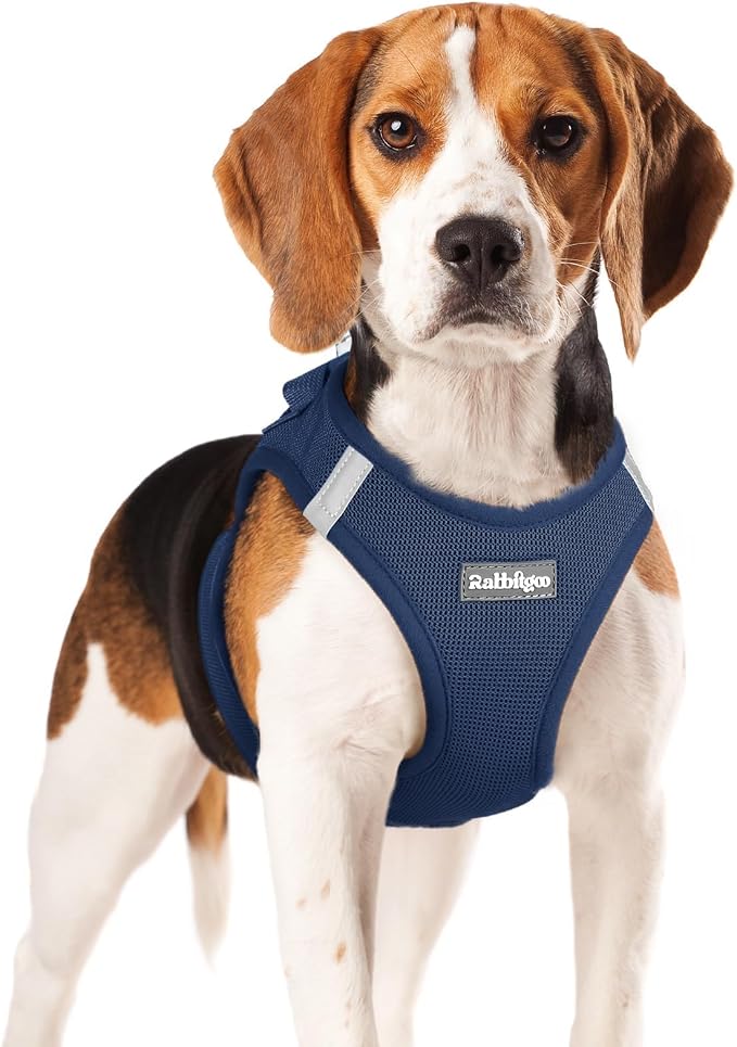 rabbitgoo Step-in Small Dog Harness, Puppy Vest for Small Medium Sized Pet | Easy Put on and off, Lightweight, Soft, Breathable Quick-Dry Air Mesh for Comfortable Secure Walking, Navy Blue XL by rabbitgoo