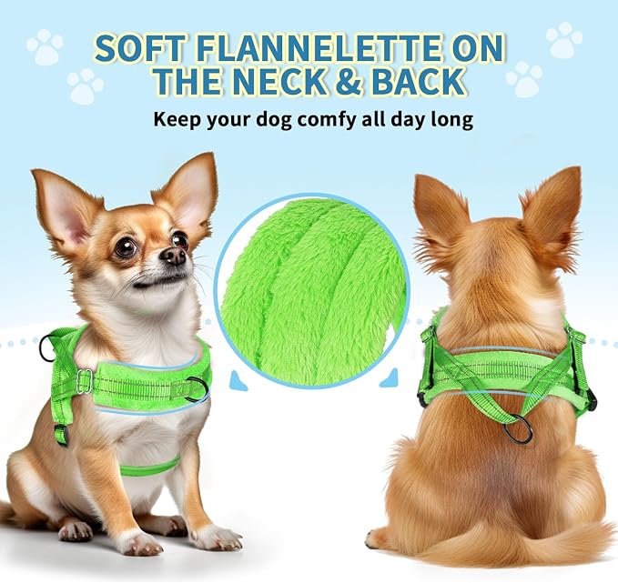 SlowTon No Pull Small Dog Harness and Leash Set with Front Clip | Soft Padded, Neck & Chest Adjustable, Lightweight, Anti-Twist, Puppy Vest Harness Pet Lead Combo for Small Medium Dog, G XS - Image 2