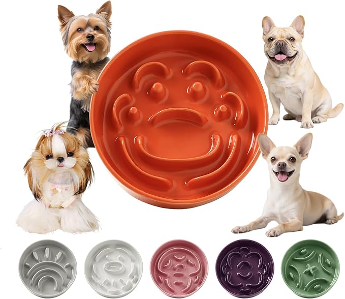 Ceramic Slow Feeder Dog Bowl, 0.8 Cups Anti -Slip Slow Feeding Bowl to Slow Down Eating, 6.3 Inch Dog Food Dish for Small Breeds, Orange by PTOBER