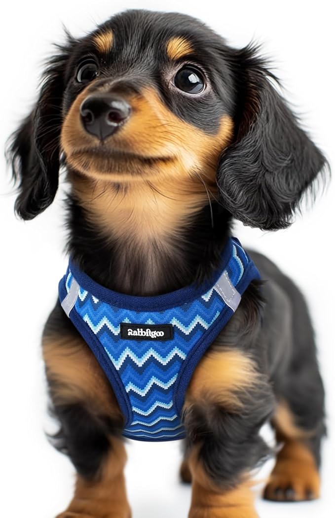 rabbitgoo Step-in Small Dog Harness, Puppy Vest for Small Sized Pet | Easy Put on and off, Lightweight, Soft, Breathable Quick-Dry Air Mesh for Comfortable Secure Walking, Blue Zigzag XXS by rabbitgoo