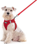 rabbitgoo Dog Harness Medium Sized and Leash Set, Step-in Puppy Pet Vest | Light, Soft, Breathable Air Mesh, Easy on and Remove with Hook & Loop, Secure Reflective for Walking, Red XXL by rabbitgoo