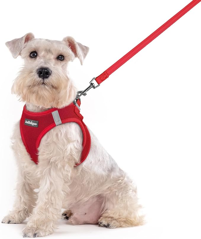 rabbitgoo Dog Harness Medium Sized and Leash Set, Step-in Puppy Pet Vest | Light, Soft, Breathable Air Mesh, Easy on and Remove with Hook & Loop, Secure Reflective for Walking, Red XXL by rabbitgoo