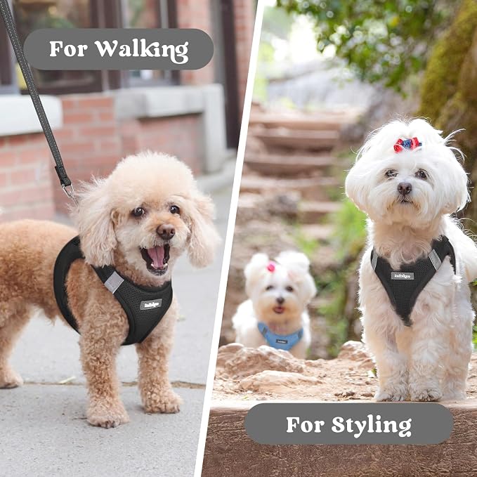 rabbitgoo Step-in Small Dog Harness, Puppy Vest for Small Medium Sized Pet | Easy Put on and off, Lightweight, Soft, Breathable Quick-Dry Air Mesh for Comfortable Secure Walking, Black L - Image 9
