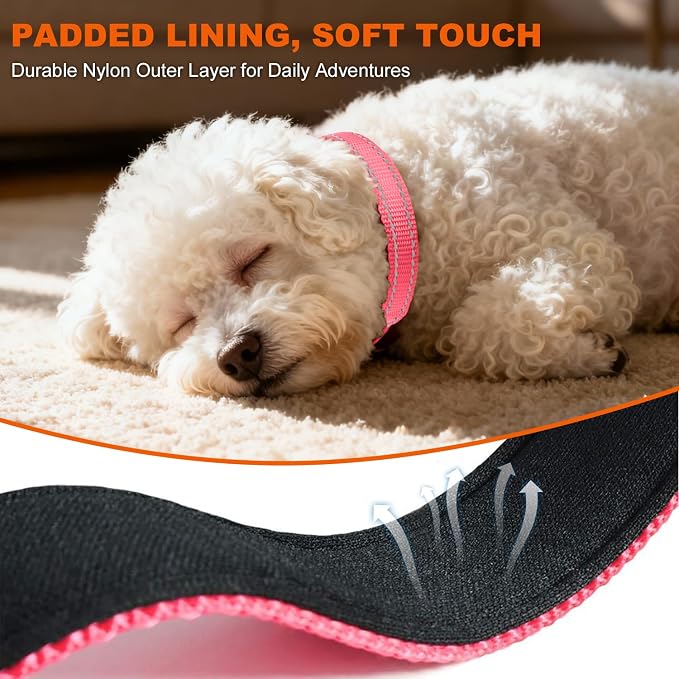 Taglory Reflective Dog Collar for Puppies, Gentle and Safe for Night Walks | Night-Walk Visibility, Soft Neck Cushioning, Adjustable 8-12 in, Locking Buckle, D-Ring for Leash and ID Tags - Image 4