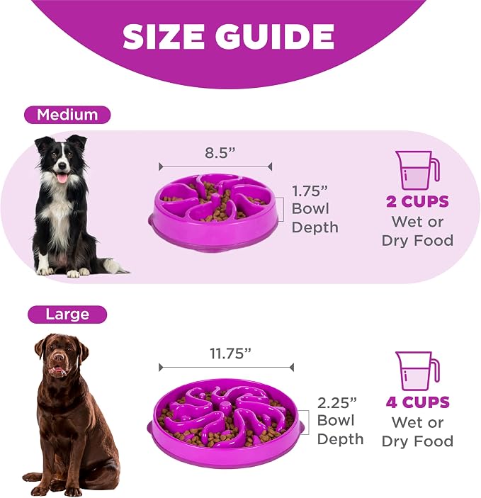 Outward Hound Fun Feeder Slo Bowl – Medium 2‑Cup Capacity, Slow Feeding, Small to Medium Dogs & Cats, Non-Slip, Purple, Flower Pattern | Slows Fast Eaters, Can Aid Digestion, Holds 2 Cups Dry or Wet Food, Non-Slip, Easy Clean, No BPA, Small to Medium D... - Image 5