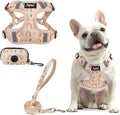 PUPTECK Dog Harness and Leash Set Medium Sized, Step in No Pull Adjustable Puppy Cat Harness Reflective Pet Vest by PUPTECK