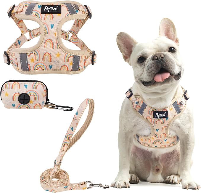 PUPTECK Dog Harness and Leash Set Medium Sized, Step in No Pull Adjustable Puppy Cat Harness Reflective Pet Vest by PUPTECK
