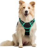 rabbitgoo Dog Harness, No Pull Medium Sized with 2 Leash Clips, Pet Vest | No Choke with Handle, Adjustable Soft Padded, Reflective, Easy Control for Walking, Black & Turquoise, Medium by rabbitgoo