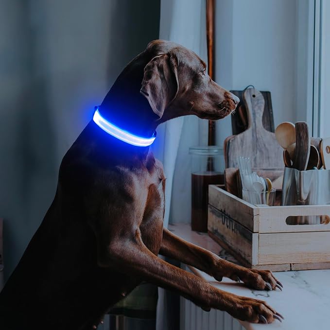 Illumifun LED Dog Collar, Adjustable Dog Light Up Collars, USB Rechargeable Safety Collar Light Glow in the Dark (Blue, Large) - Image 3