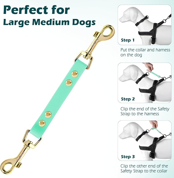 PetBonus Dog Collar Safety Clip, Waterproof Backup Safety Strap | Prong Collar to Harness Connector, Escape Proof, Odor Proof, Easy to Clean, Double Ended Clasp for Training, Mint Green - Image 6