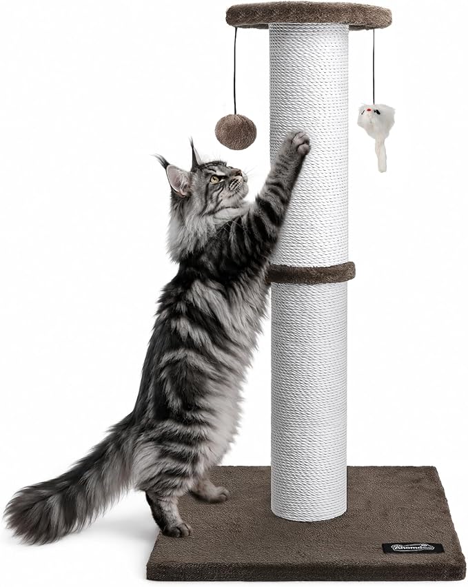 34-Inch Tall Cat Scratching Post for Large Cats, Stable Base, Brown | Heavy-Duty Cat Scratcher, Extra-Tall Thick Post, Soft Natural Cotton Rope, Hanging Interactive Cat Toys, Indoor Cat Furniture by Ahomdoo