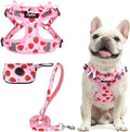 PUPTECK Dog Harness and Leash Set Medium Sized, Step in No Pull Adjustable Puppy Cat Harness Reflective Pet Vest by PUPTECK