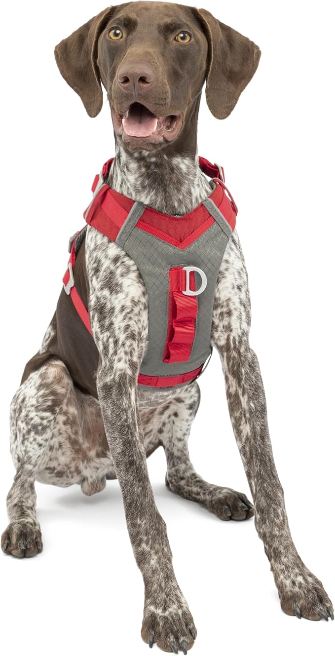 Kurgo Journey Air Dog Harness, Red, Medium | Padded Chest, Ripstop Outer & Breathable Mesh, Back Assist Handle, Rust-Free Aluminum Hardware, Reflective Trim - Image 3