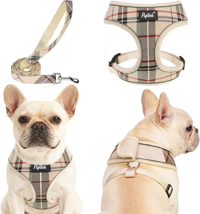 PUPTECK Small Dog Harness and Leash Set No Pull for XS XXS Sized Dogs Puppy | Escape Proof No Choke Pet Cat Adjustable Soft Padded Walking Vest by PUPTECK
