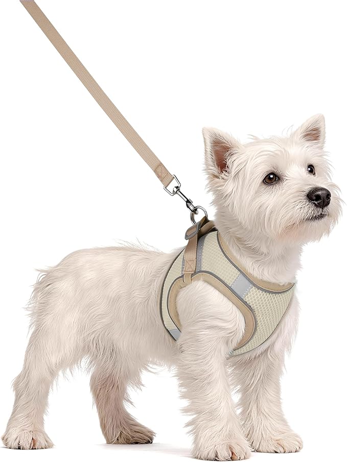 Solmoony Dog Harness for Small Medium Dogs No Pull, Puppy Harness and Leash Set, Puppy Harness for Small Dogs, Step in Harness for Small Dogs, Small Dog Harness, mesh Dog Harness. (Beige, XXS) - Image 2