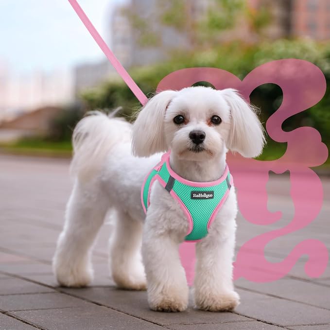 rabbitgoo Dog Harness Small Sized and Leash Set, Step in Soft Vest | Breathable Mesh, Easy Wear with Hook & Loop, Light and Reflective for Walking, Multi-colored, Teal & Pink, XS - Image 8
