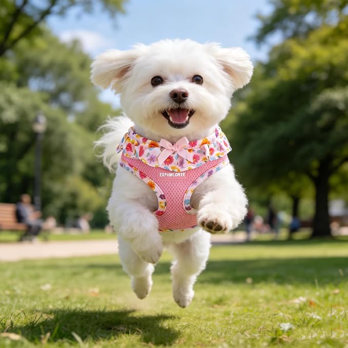 EXPAWLORER Step-in Dog Harness Small Sized and Leash Set | Cute Small Dog Harness No Pull Girl, Breathable Soft Mesh Padded, Adjustable Light Puppy Vest for Dogs Cats, Floral XS - Image 9