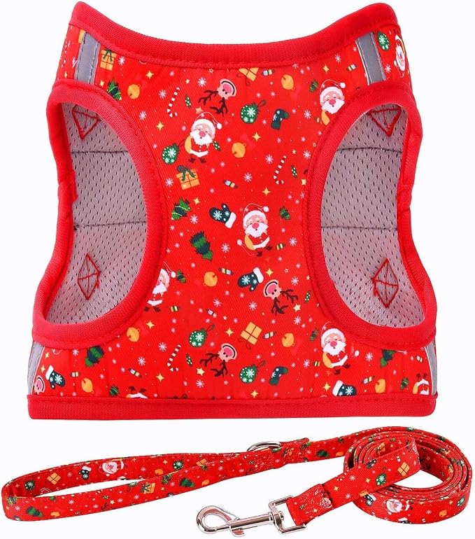 Step in Christmas Xmas Day Dog Harness Leash Set- All Weather Reflective No-Pull Floral Pattern Padded Mesh Vest Harness for Cats Puppy Extra-Small Small Medium Large Dogs - XS by MOONPET