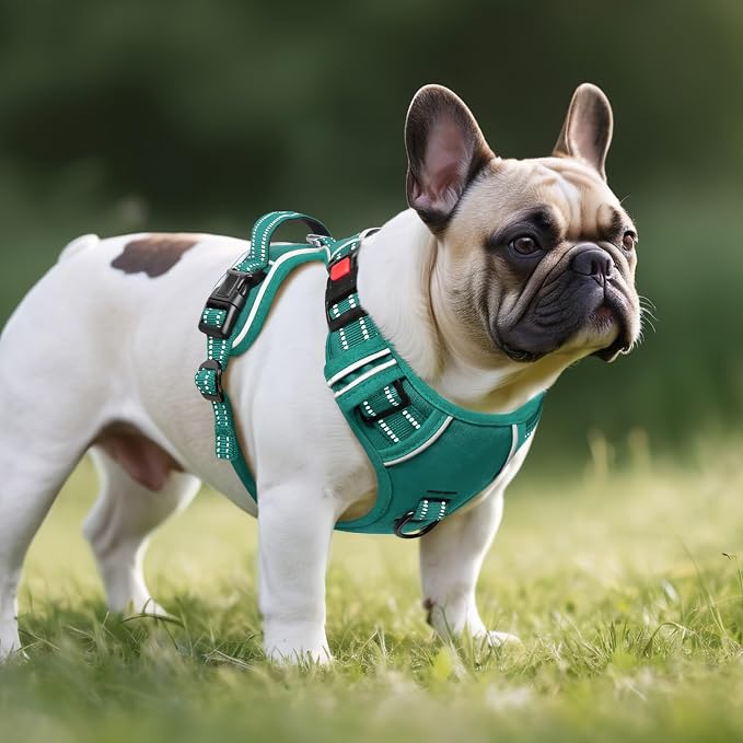 Timos Small Dog Harness, No Pull No Choke, Easy On & Off, Grass Green, S | Adjustable Reflective Soft Padded, Neck Quick Release with 3 Buckles, Front & Back 2 Clips and Handle for Walking Training - Image 7