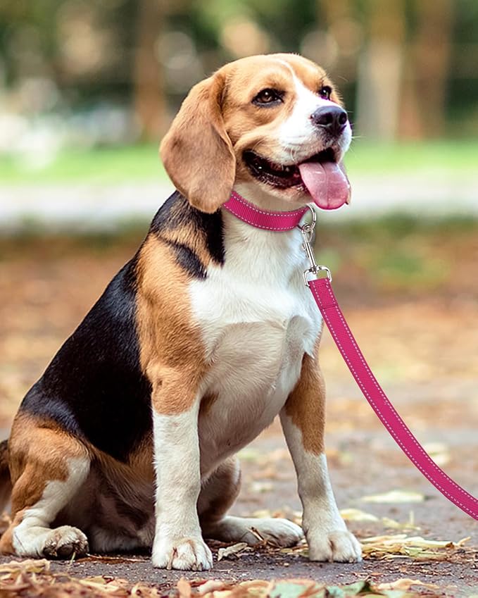 Taglory Reflective Dog Leash for Small Dogs, 3/4in x 4ft, Hot Pink | Ideal for Night Walking, Strong for Sudden Pulls, Lightweight & Gentle on the Neck, Soft Padded Handle - Image 6