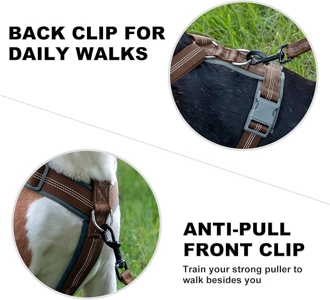 Plutus Pet No Pull Dog Harness, Adjustable Nylon Harness with Soft Padding | Reflective with Front Clip, Heavy Duty for Training and Walking, for Small Medium Large Dogs, Chocolate, S - Image 4
