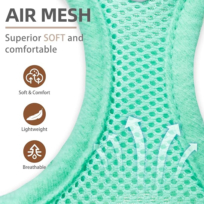 PUPTECK Dog Harness, Collar and Leash Set No Pull for Small Medium Sized | Soft Mesh Puppy Step-in Escape Proof Reflective No Choke Pet Cat Adjustable Walking Vest - Image 2