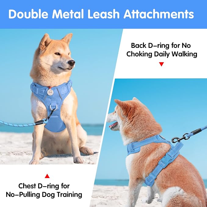 PoyPet Dog Harness and Leash Set, No Pull Vest with Front Clip and Handle | Escape Proof, Reflective, 3 Buckles, 2 D-rings, Adjustable, Soft Padded, 5 Feet Leash, for Walking Training, Light Blue, L - Image 2