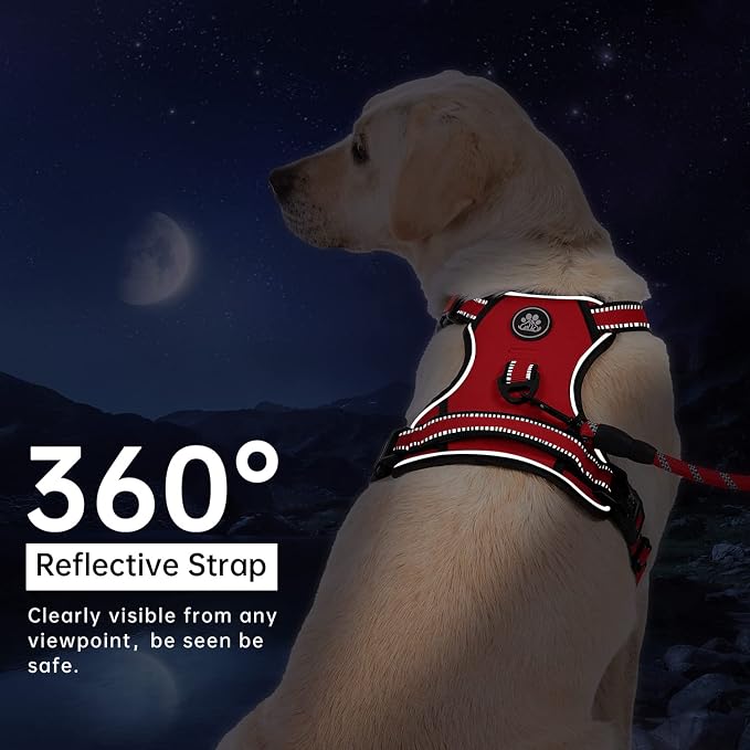 IVY&LANE No Pull Dog Harness for Small Dogs, Dog Vest Harness with Leash, Safety Belt and Storage Strap, Fully Adjustable, 360° Reflective Strip, Soft Handle (Red, S) - Image 5