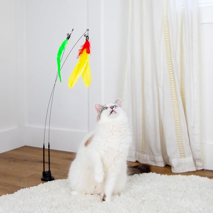 Cat Toys For Indoor Cats: Interactive Cat Toy Wand, 9 Feathers Wand Lures | Sturdy floor base prevents aggressive toppling, Secure suction cups to glass windows, Swap feather lures for daily variety - Image 4