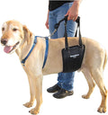 Dog Sling Hind Leg Support, M/LG Unisex with Cutout, Made in USA | Help Pets Walk, K9s Recover from Surgery, Fits Male & Female, Integrated Leash, Machine Wash/Dry, Chest Harness NOT Included by GINGERLEADDogSupportSlings