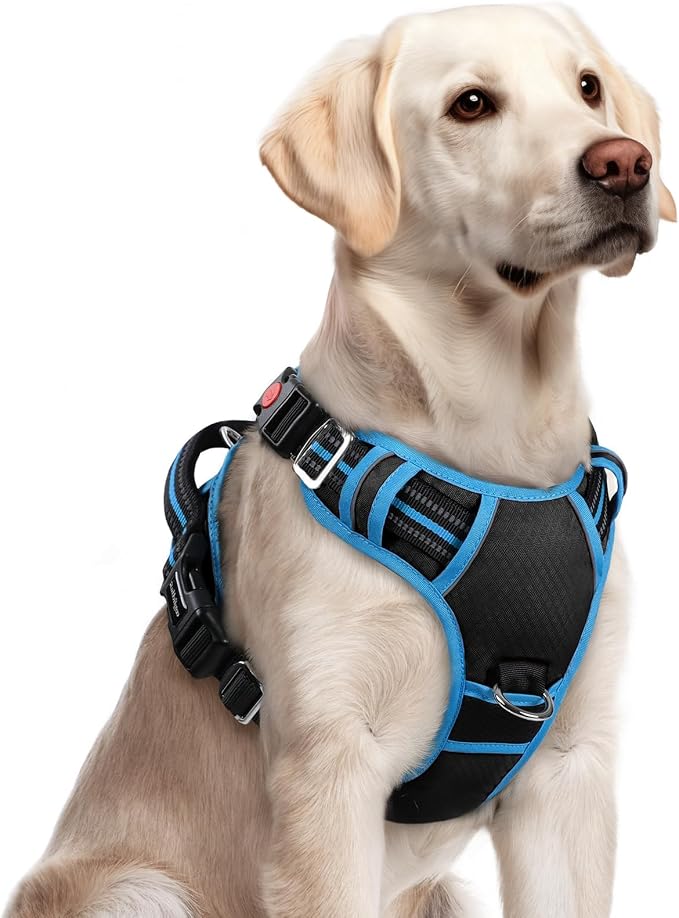 rabbitgoo Dog Harness for Large, No Pull 3 Buckles Easy On & Off | Soft Padded, Walking with Control Handle, Adjustable and Reflective, Black & Blue, Large by rabbitgoo