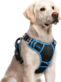 rabbitgoo Dog Harness for Large, No Pull 3 Buckles Easy On & Off | Soft Padded, Walking with Control Handle, Adjustable and Reflective, Black & Blue, Large by rabbitgoo