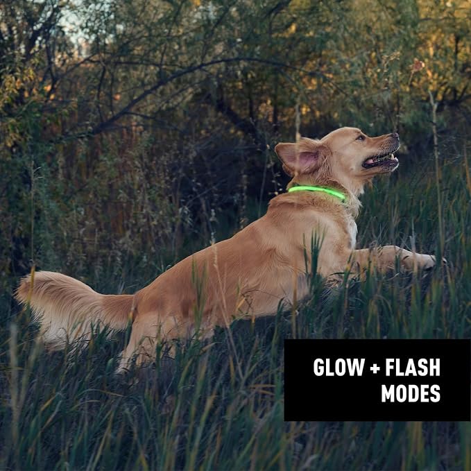Nite Ize NiteHowl Rechargeable LED Safety Necklace - Dog Light for Dog-Walking Gear - Weather-Resistant Design - 5 Hours Runtime - Cut to Fit from 12” to 27” - Green - Image 5